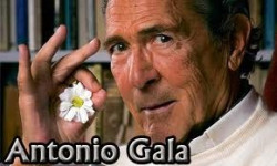 A la pol&iacute;tica se dedican quienes no sirven para otra cosa. (Gala)