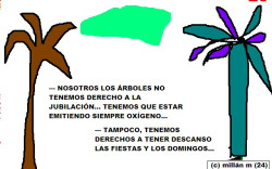 ¿A quién dirigirse si se quiere publicar artículos en un medio nacional?? .    © jmm caminero