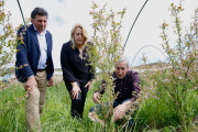 Campoberry aspira a producir entre 800 y 1.000 toneladas de ar&aacute;ndano, el doble que ahora