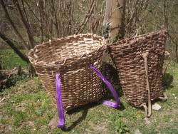 Cantabria despide 2021 con el cu&eacute;vano vac&iacute;o&nbsp;  Por Carlos Magdalena