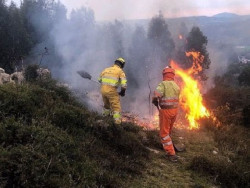 Cantabria registra 58 incendios forestales y 120 hect&aacute;reas quemadas desde junio