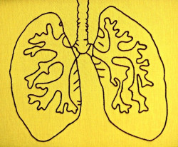 C&eacute;lulas inmunes descubiertas en los pulmones mejoran la defensa contra los virus