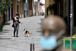 Cient&iacute;ficos reclaman m&aacute;s investigaci&oacute;n sobre la infecci&oacute;n de SARS-CoV-2 en animales para minimizar riesgos