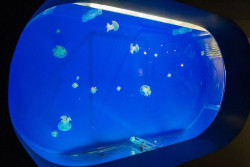 Cultura organiza en el Museo Marítimo distintas actividades para los niños estas navidades