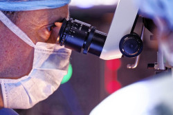 Desarrollan una nueva terapia que podr&iacute;a ser eficaz en muchos tipos de c&aacute;ncer