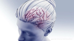 Desarrollan una nueva terapia que se dirige a las met&aacute;stasis del c&aacute;ncer de mama en el cerebro