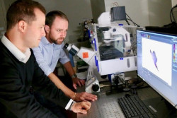Descubren que las bacterias de la boca puede causar la propagaci&oacute;n del c&aacute;ncer de colon