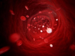 Descubren una enzima que protege contra la inflamaci&oacute;n y revela el v&iacute;nculo entre el metabolismo y el sistema inmunitario