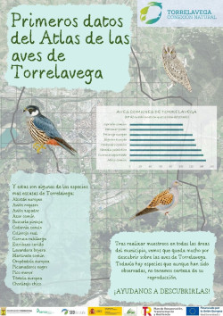 El Atlas de las Aves de Torrelavega detecta 90 especies, 75 reproduci&eacute;ndose en la ciudad