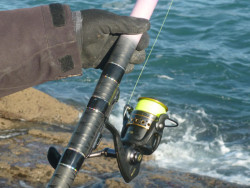 El "carrete" de S&aacute;nchez. 