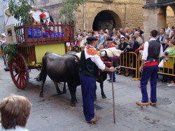 El cuento del lobo y la ruina de los ganaderos&nbsp;&nbsp;Por Carlos Magdalena