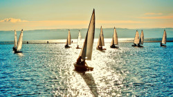 El deporte de la Vela en España propio de repúblicas bananeras