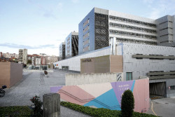 El Gobierno crea de distinciones honor&iacute;ficas para reconocer la trayectoria y contribuci&oacute;n a la sanidad de Cantabria