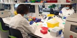 El ISCIII pone a disposici&oacute;n de la comunidad cient&iacute;fica cultivos del virus de la viruela del mono para su investigaci&oacute;n