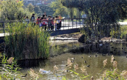 El parque de Las Llamas de Santander se consolida como Gran Parque receptor y da cobijo a  150 especies de aves