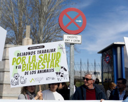 El Senado suprime el acuerdo entre PSOE y ERC para flexibilizar la dispensación de antibióticos por los veterinarios