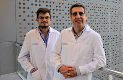 Hallado un mecanismo que explica como una c&eacute;lula cancerosa se convierte en una normal