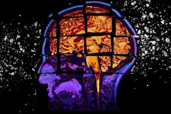 Identifican un nuevo objetivo en el desarrollo del Alzheimer del que se podr&iacute;an derivar terapias precoces