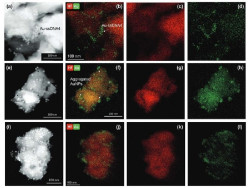 Investigadores desarrollan la primera prueba r&aacute;pida para detectar la viruela del mono