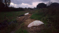 IU alerta de la existencia de depósitos salinos "ilegales" en La Pesquera de Laredo y pide al Ayuntamiento que actúe