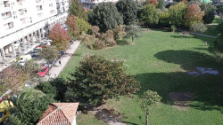 IU de Laredo convoca una concentración el 8 de noviembre contra la eliminación de 88 árboles