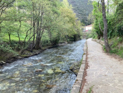 La banca en la Espa&ntilde;a vaciada.    Germ&aacute;n Gorraiz L&oacute;pez-Analista&nbsp;