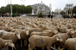 La Espa&ntilde;a m&aacute;s negra