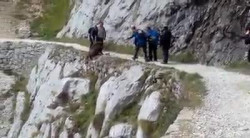 La fauna salvaje en Espa&ntilde;a y en Cantabria, desprotegida