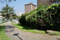 La Fiscal&iacute;a de Cantabria no pedir&aacute; cautelares para el detenido por la muerte del aficionado del Racing