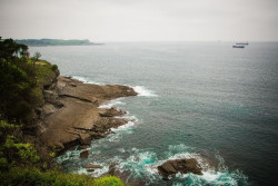 La Fundaci&oacute;n Naturaleza y Hombre revela un "declive" de poblaciones de caballitos de mar en la Bah&iacute;a de Santander
