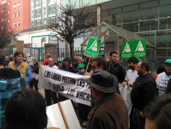  La ganader&iacute;a de Cantabria  ignorada por los pol&iacute;ticos