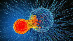 La inmunoterapia contra el c&aacute;ncer es segura en pacientes con COVID-19