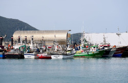 La oposici&oacute;n se une en el Parlamento para pedir al Gobierno ayudas para los pescadores por el impacto del combustible