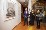 La sala Mauro Muriedas expone `Radiograf&iacute;a del silencio` hasta el 12 de julio