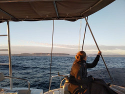 La Traves&iacute;a `Navega el Camino` recalar&aacute; en Santander el 7 de junio