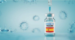La vacuna espa&ntilde;ola contra la COVID-19 del CNB-CSIC protege de la infecci&oacute;n y el da&ntilde;o cerebral por el virus