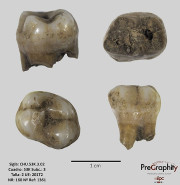 Las cuevas El Mir&oacute;n y Chuf&iacute;n, claves para reconstruir la historia gen&eacute;tica de poblaciones de hace 30.000 a&ntilde;os