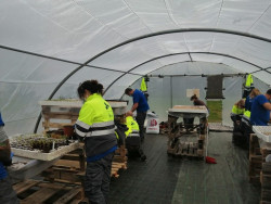 Los alumnos del taller de empleo de Noja se forman con pr&aacute;cticas de auxiliares en viveros y jardines