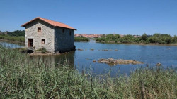  M&aacute;s de 4.400 personas visitaron el Molino de las Aves este verano