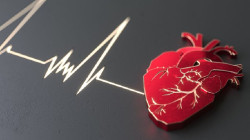 M&eacute;dicos, expertos y pacientes piden al Gobierno que la salud cardiovascular sea prioridad en la Presidencia europea
