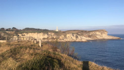 No mates a la rana &iexcl;hombre!, por Carlos Magdalena