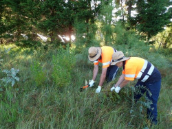 Noja contratar&aacute; a m&aacute;s de 30 desempleados a trav&eacute;s del programa de Corporaciones Locales