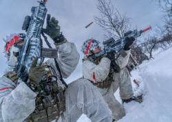 Pa&iacute;ses &aacute;rticos celebran `Centinela del &Aacute;rtico` y constatan mayor unidad en la OTAN tras la crisis por Groenlandia
