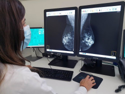 Realizan un nuevo descubrimiento en el tratamiento del c&aacute;ncer de mama sobre el papel de los andr&oacute;genos