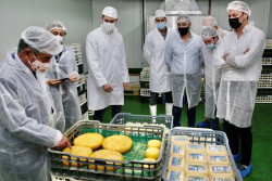 Revilla augura "mucho futuro" a Quesos de Ruesga por su apuesta por la tradici&oacute;n y la calidad