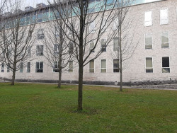 Se enfrenta a quince a&ntilde;os por violar y agredir a su ex, sobre la que ten&iacute;a orden de alejamiento