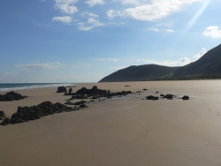 SEO/BirdLife celebra hoy en noja una nueva ruta por las dunas y campi&ntilde;as de Tregand&iacute;n, en Noja