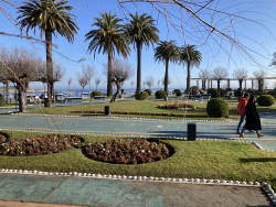 S.O.S desde los jardines de Piqu&iacute;o, por Carlos Magdalena