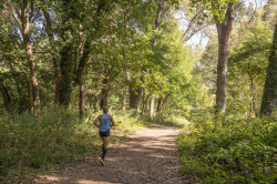 Torrelavega adjudicar&aacute; el acondicionamiento de las sendas del Patatal por 422.000 euros