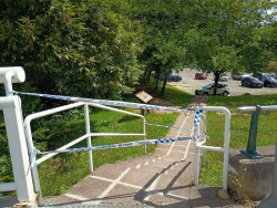 Torrelavega inicia un plan de actuaci&oacute;n sobre el arbolado de la calle Lucio Marcos por riesgo de ca&iacute;da